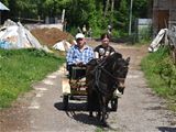 Проект "Пони-драйвинг"