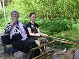 Посещение Костромского ипподрома